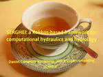 June tea-time: SERGHEI: a Kokkos-based framework for computational hydraulics and hydrology